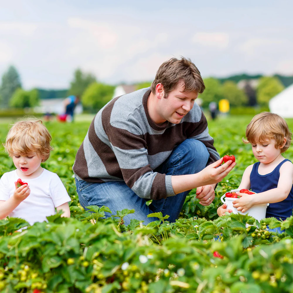 Freshness From Our Southern Soil